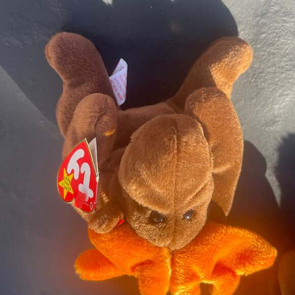 Very rare sticker covering tag ...Ty Beanie baby chocolate the Moose.